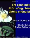 Trà xanh một loại thức uống chức năng phòng chống bệnh tật (TS. Dương Thanh Liêm)