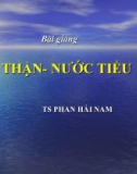 Bài giảng Thận - nước tiểu