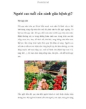 Người cao tuổi cần cảnh giác bệnh gì?