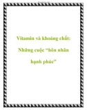 Vitamin và khoáng chất: Những cuộc 'hôn nhân hạnh phúc'