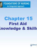 Lecture Foundations of nursing: An integrated approach: Chapter 15 - Cliff Evans, Emma Tippins