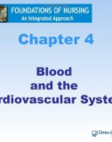 Lecture Foundations of nursing: An integrated approach: Chapter 4 - Cliff Evans, Emma Tippins