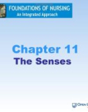 Lecture Foundations of nursing: An integrated approach: Chapter 11 - Cliff Evans, Emma Tippins