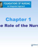 Lecture Foundations of nursing: An integrated approach: Chapter 1 - Cliff Evans, Emma Tippins