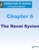 Lecture Foundations of nursing: An integrated approach: Chapter 6 - Cliff Evans, Emma Tippins