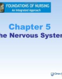 Lecture Foundations of nursing: An integrated approach: Chapter 5 - Cliff Evans, Emma Tippins