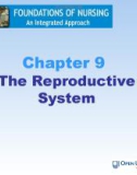 Lecture Foundations of nursing: An integrated approach: Chapter 9 - Cliff Evans, Emma Tippins