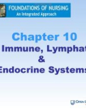 Lecture Foundations of nursing: An integrated approach: Chapter 10 - Cliff Evans, Emma Tippins