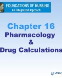 Lecture Foundations of nursing: An integrated approach: Chapter 16 - Cliff Evans, Emma Tippins