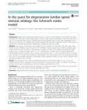 In the quest for degenerative lumbar spinal stenosis etiology: The Schmorl's nodes model