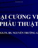 Bài giảng Đại cương về Phẫu thuật - BS. Nguyễn Trường An