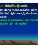 Bài giảng hấp thu các chất ở ruột non và chức năng gan part 2