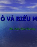 Bài giảng Mô và biểu mô - BS. Trần Kim Thương