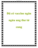 Đã có vaccine ngăn ngừa ung thư tử cung