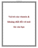 Vitamin & khoáng chất đối với mái tóc của bạn