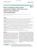 Role of autophagy-related protein expression in patients with rectal cancer treated with neoadjuvant chemoradiotherapy