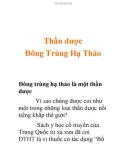 Đại cương Thần dược Đông Trùng Hạ Thảo