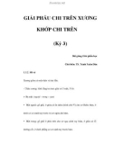 GIẢI PHẪU CHI TRÊN XƯƠNG KHỚP CHI TRÊN (Kỳ 3)