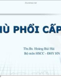 Bài giảng Phù phổi cấp - ThS.BS. Hoàng Bùi Hải