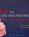 Bài giảng Giải phẫu: Miệng và các cấu trúc phụ thuộc (Răng-lưỡi-tuyến nước bọt) - Ths.Bs.Nguyễn Ngọc Ánh