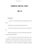 NHIỄM TRÙNG TIỂU (Kỳ 6)