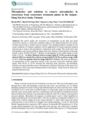 Microplastics and solutions to remove microplastics in wastewater from wastewater treatment plants in the Saigon– Dong Nai river basin, Vietnam