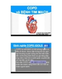 COPD và bệnh tim mạch