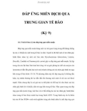 ÐÁP ỨNG MIỄN DỊCH QUA TRUNG GIAN TẾ BÀO (Kỳ 9)