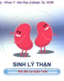 Bài giảng Sinh lý thận - ThS. BS. Lê Quốc Tuấn