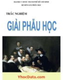 Các bài tập trắc nghiệm giải phẫu học: Phần 1