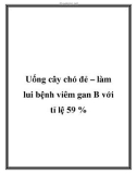 Uống cây chó đẻ – làm lui bệnh viêm gan B với tỉ lệ 59 %