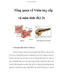 Tổng quan về Viêm tuỵ cấp và mãn tính (Kỳ 3)