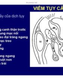 Viêm tụy cấp và mãn tính part 4