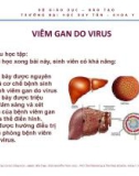 Bài giảng Viêm gan do virus - ThS. BS Nguyễn Phúc Học