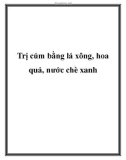 Trị cúm bằng lá xông, hoa quả, nước chè xanh