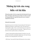 Những lợi ích của rong biển với bà bầu