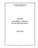 Giáo trình Giải phẫu sinh lý (Ngành: Điều dưỡng) - Trường Cao Đẳng Lào Cai