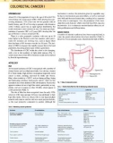 Gastroenterology an illustrated colour text - part 7