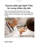 Nguyên nhân gây bệnh Viêm tai xương chũm cấp tính