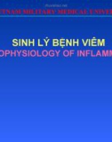 Bài giảng bộ môn Sinh lý bệnh: Sinh lý bệnh viêm (Pathophysiology of inflammation)