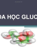 Bài giảng Hóa học glucid - ThS. Huỳnh Thị Thu Hương