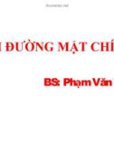 Bài giảng Sỏi đường mật chính - BS. Phạm Văn Viễn