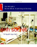 Bài giảng bộ môn Sốt rét - Kí sinh trùng và côn trùng: Bệnh sốt rét - TS. Nguyễn Ngọc San (Học viện Quân y)