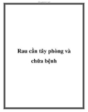 Rau cần tây phòng và chữa bệnh