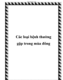 Các loại bệnh thường gặp trong mùa đông