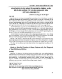 Nghiên cứu chức năng tế bào beta ở bệnh nhân đái tháo đường týp 2 chẩn đoán lần đầu có thừa cân béo phì