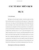 CÁC TẾ BÀO MIỄN DỊCH (Kỳ 2)