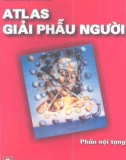 Atlas giải phẫu người - Phần nội tạng (Phần 1)