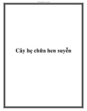 Cây hẹ chữa hen suyễn