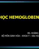 HÓA HỌC HEMOGLOBIN